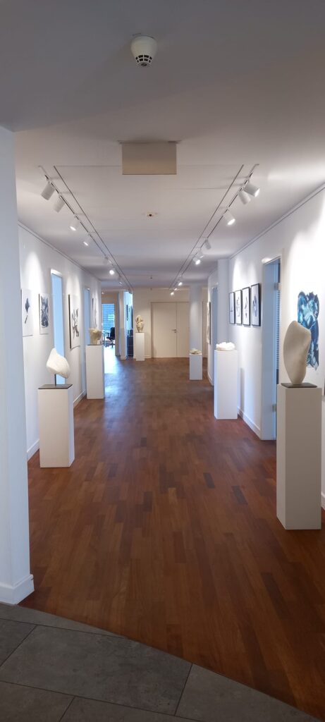 Foto Steinkunsthalle